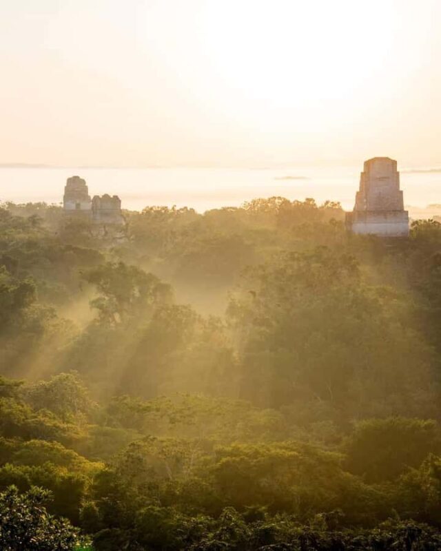 Tour and Transportation with tour guide to Tikal - Key Points