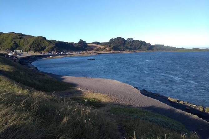 Tour around Biobío River Estuary & Pedro del Río Zañartu Museum - Key Points