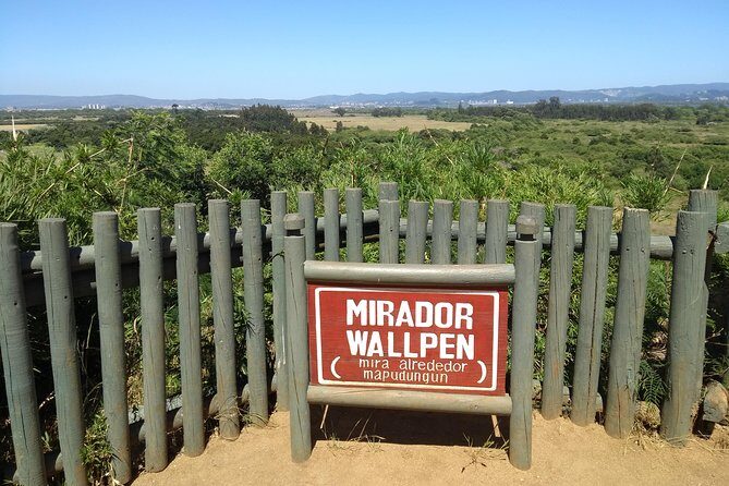 Tour around Biobío River Estuary & Pedro del Río Zañartu Museum - The Sum Up