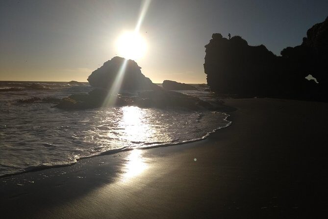 Tour around Biobío River Estuary & Pedro del Río Zañartu Museum - FAQ