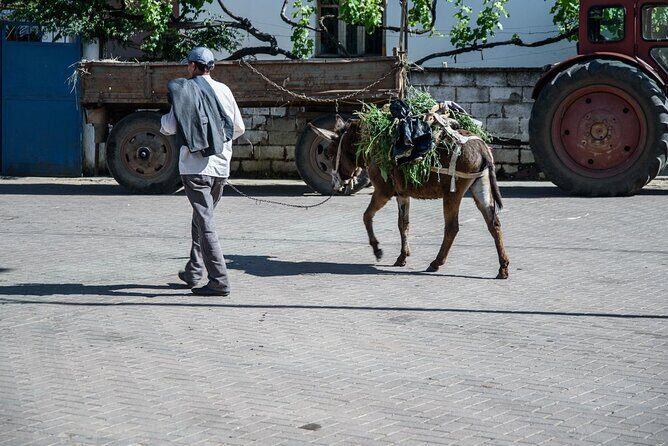 Tour Around the Lake Albania from Ohrid - An Authentic Day Exploring Albania from Ohrid