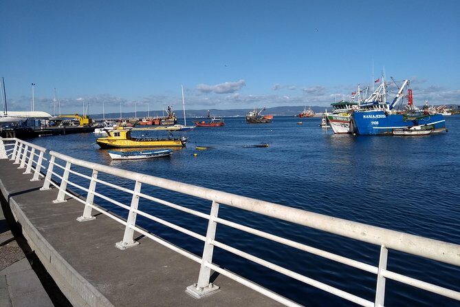 Tour around the Port of Talcahuano - Key Points