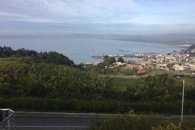 Tour around the Port of Talcahuano - FAQs