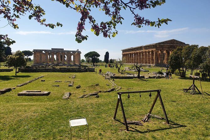 Tour at the Temples and the National Museum of Paestum - Who Should Book This Tour?