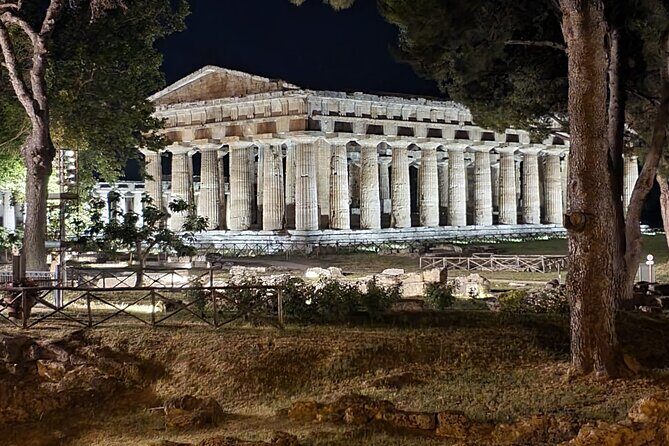Tour at the Temples and the National Museum of Paestum - Frequently Asked Questions