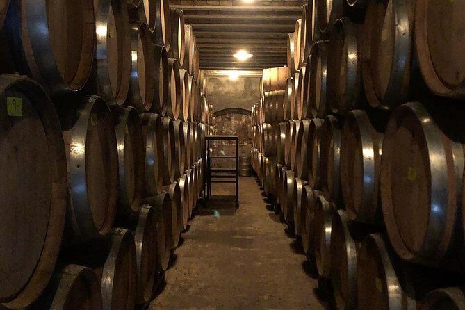 Tour autoguiado en bicicleta por Luján de Cuyo (Mendoza) - Key Points