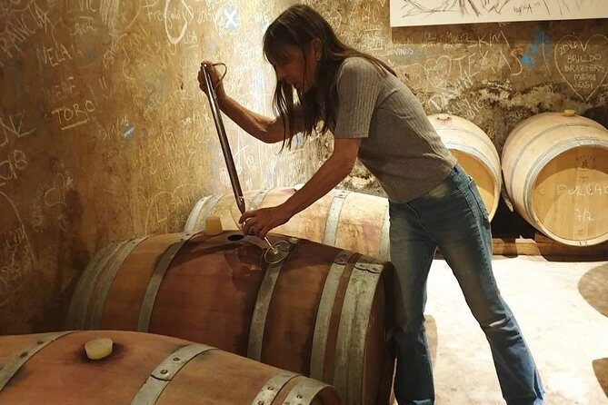 Tour autoguiado en bicicleta por Luján de Cuyo (Mendoza) - A Deeper Look at the Luján de Cuyo Bike Tour