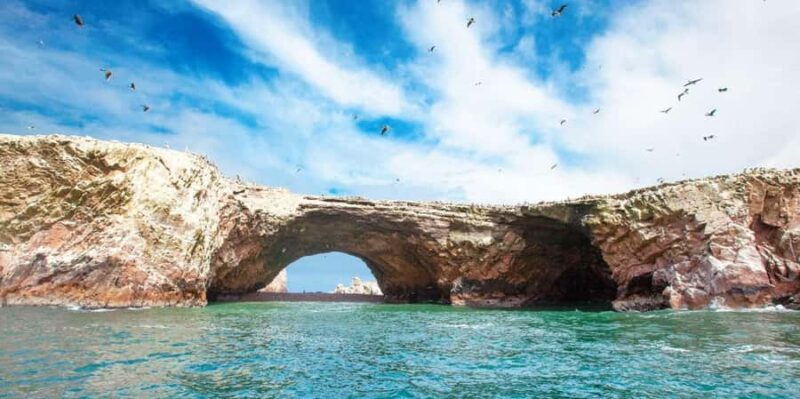Tour: Ballestas Islands and the Paracas National Reserve - Key Points