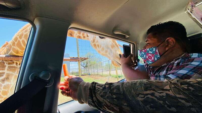 Tour "Bioparque" + Traslados + Tickets incluidos - Key Points