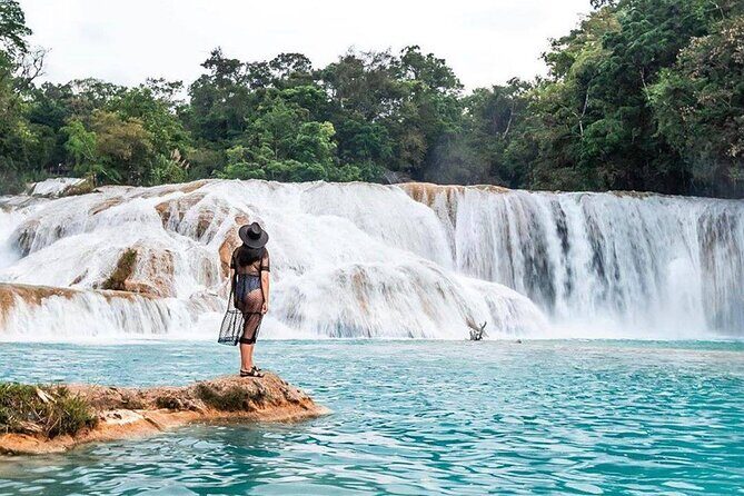 Tour Blue Waterfalls MisolHa and Palenque Waterfall - A Day of Waterfalls and Ancient Ruins: The Blue Waterfalls Misol-Há and Palenque Tour