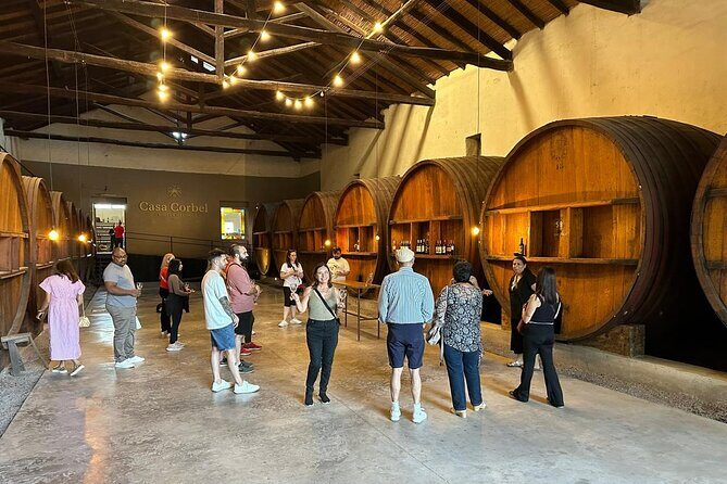 Tour Bodega y Olivícola con Almuerzo en Maipú - Key Points