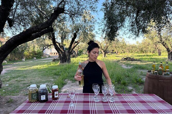 Tour Bodega y Olivícola con Almuerzo en Maipú - An In-Depth Look at the Tour