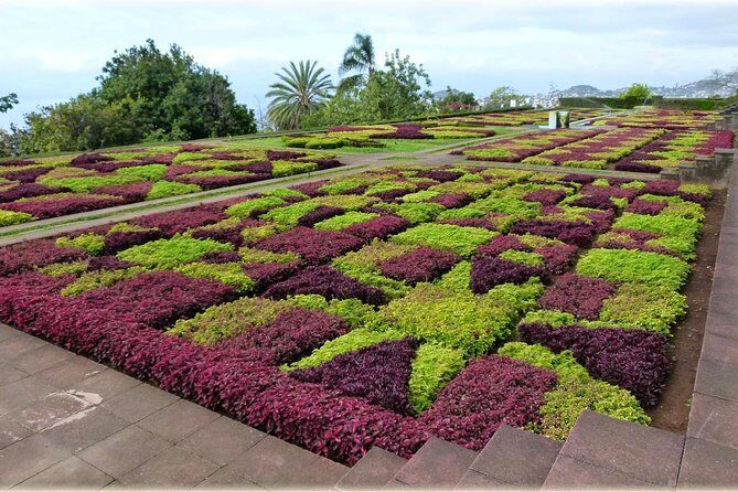Tour Cable Car Toboggan Tropical Garden and Skywalk - FAQ