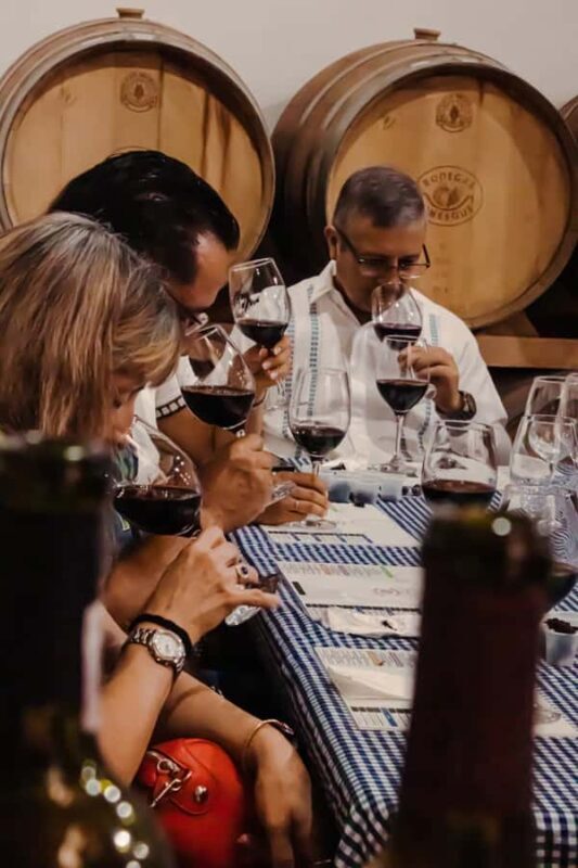 Tour+ Cata 3 vinos / Tour + 3 wine tasting - Discovering the Flavors of Chihuahua: A Guided Wine Tasting at Bodegas Pinesque