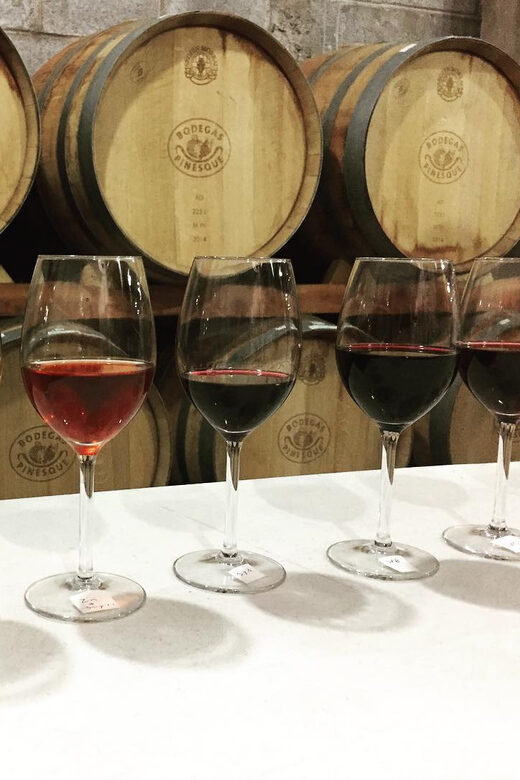 Tour+ Cata 3 vinos / Tour + 3 wine tasting - What Youll Taste