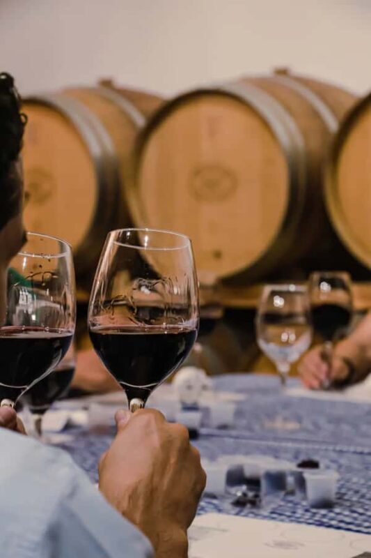 Tour+ Cata 3 vinos / Tour + 3 wine tasting - Practical Details