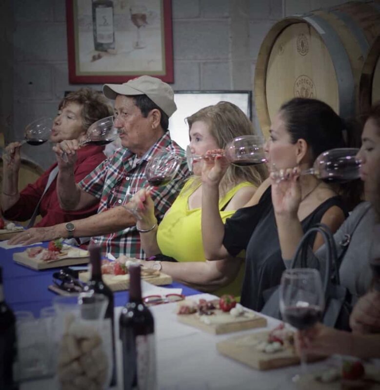 Tour+ Cata 3 vinos / Tour + 3 wine tasting - Who Should Book This Experience?