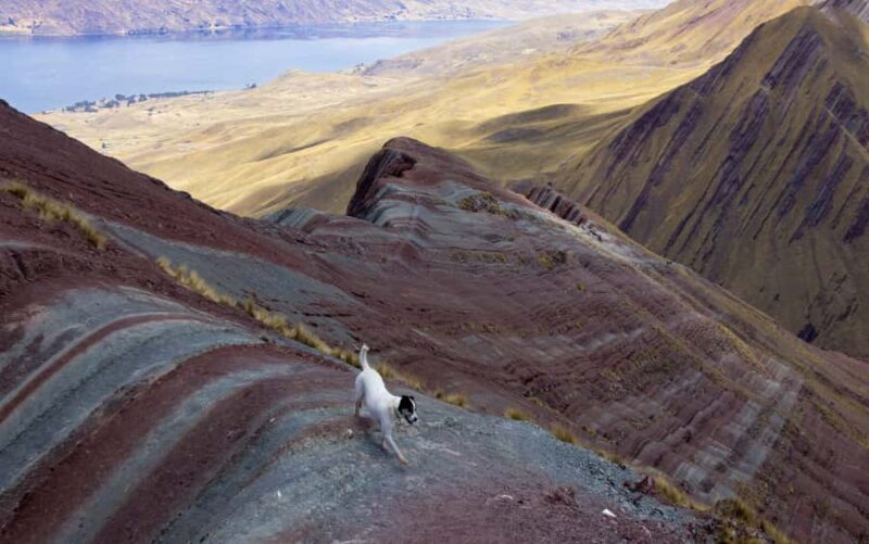 Tour Cusco : Pallay Poncho del Apu T'acllo - The value and practical considerations