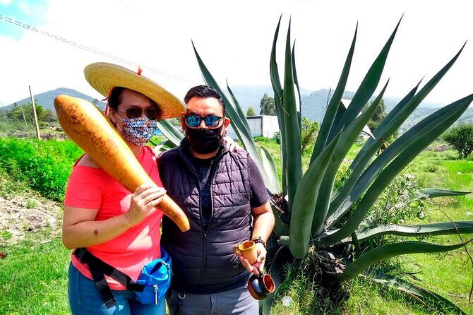 Tour de Pulque en Tepotzotlán, Pueblo Mágico - Key Points