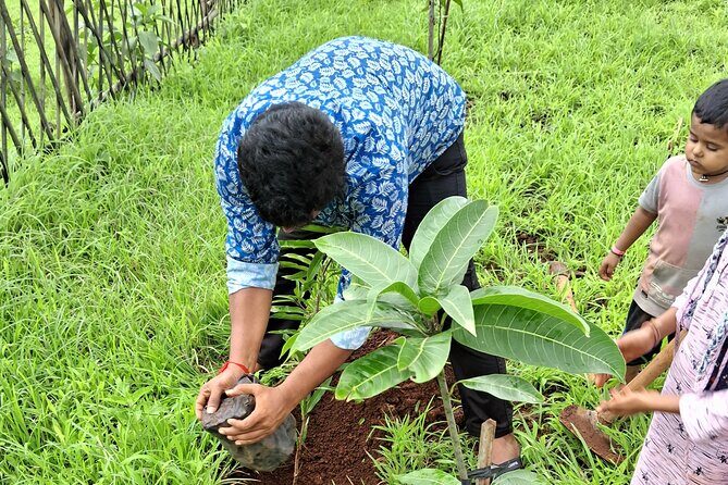 Tour De Small Town Maharashtra Nature Trekking and Star Gazing - Exploring the Authentic Charm of Small-Town Maharashtra: Trekking, Star Gazing & Village Life