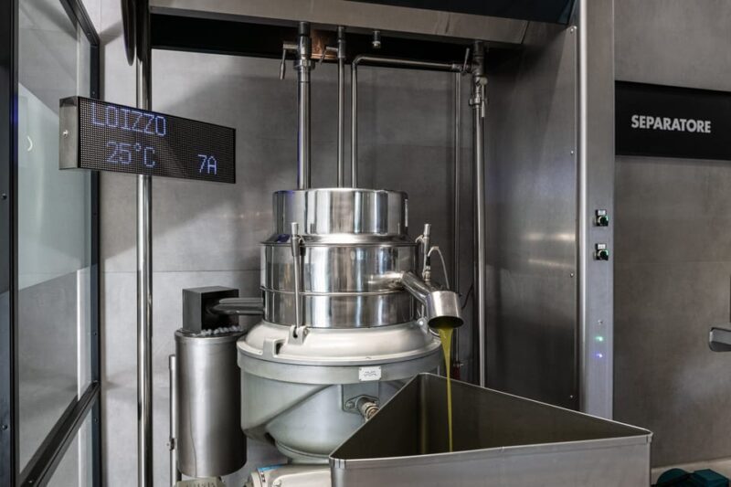 Tour del Frantoio Perniola con Degustazione di Olio EVO - Exploring the Tour Experience in Depth
