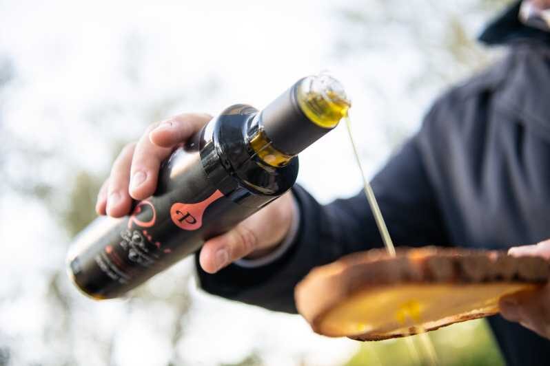 Tour del Frantoio Perniola con Degustazione di Olio EVO - The Sum Up