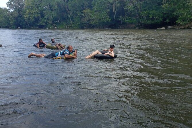Tour Don Diego and Tayronaka - A Journey into Colombia’s Indigenous Heritage and Natural Beauty