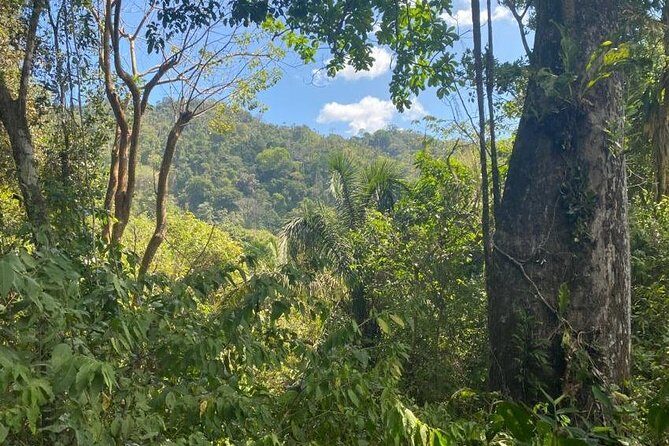 Tour Don Diego and Tayronaka - Exploring the Itinerary: What You Can Expect