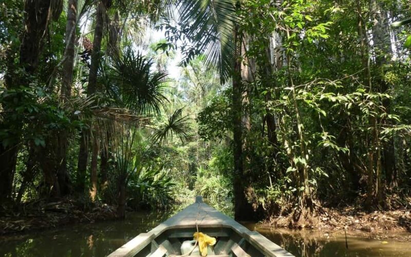 Tour en Kayak +Isla de los Monos full day - Key Points