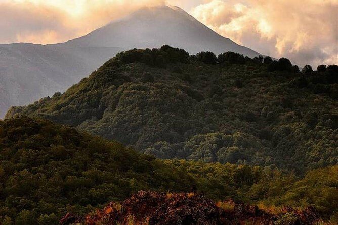 Tour Etna & Wine Tasting Private - Final Thoughts