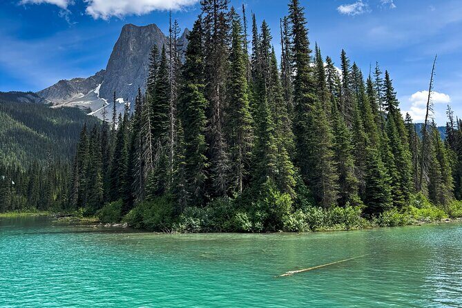 Tour Experience in Banff and Yoho National Parks - The Sum Up