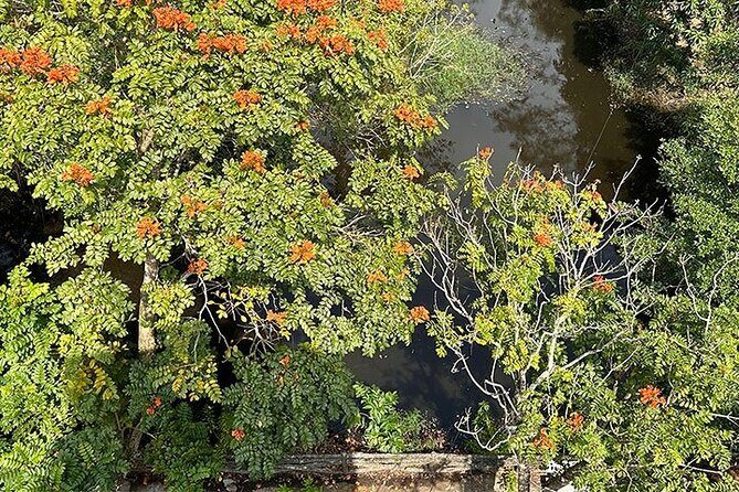 Tour for Nature lover- Lung Ngoc Hoang Nature Reserve in Can Tho - Who Should Consider This Tour?