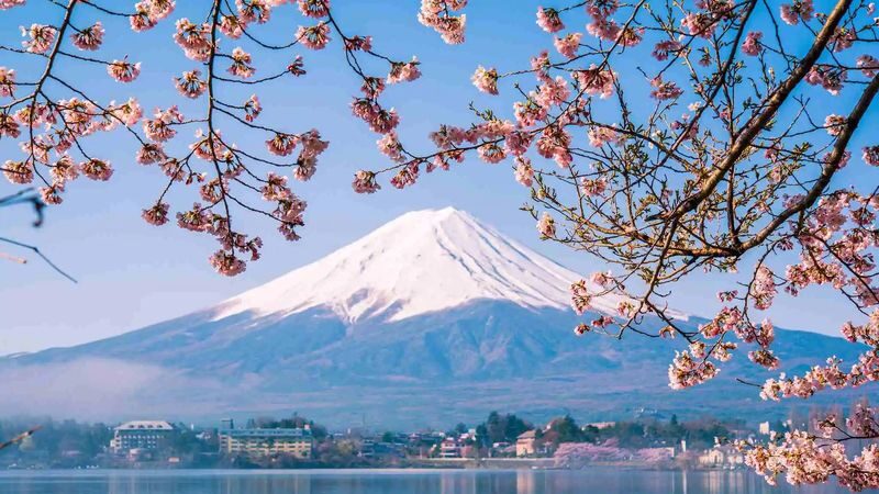 Tour for One Person: Classic Mt. Fuji Day Trip: Mt. Fuji 5th Station, Arakurayama Sengen Park, Gotemba Outlets or Hot Spring Day Trip (Departure from Tokyo) - The 5th Station: close to the mountain