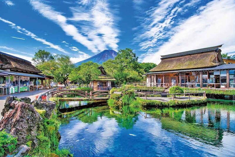 Tour for One Person: Classic Mt. Fuji Day Trip: Mt. Fuji 5th Station, Arakurayama Sengen Park, Gotemba Outlets or Hot Spring Day Trip (Departure from Tokyo) - What the price covers, and what it doesn’t