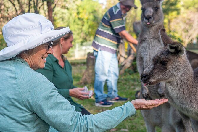 Tour from Eden to Merimbula Wetlands Wildlife and Coastline - Wildlife and Wetlands at Potoroo Palace