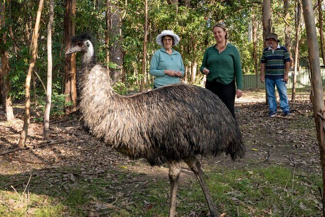 Tour from Eden to Merimbula Wetlands Wildlife and Coastline - What’s the Overall Experience like?
