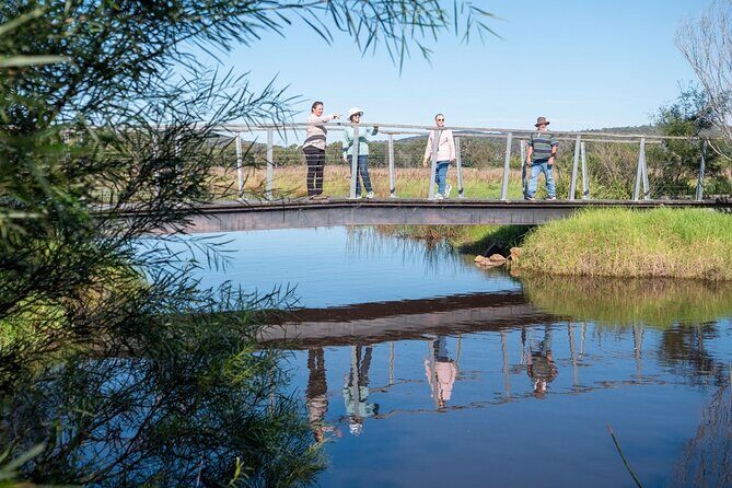 Tour from Eden to Merimbula Wetlands Wildlife and Coastline - Practicalities and Value
