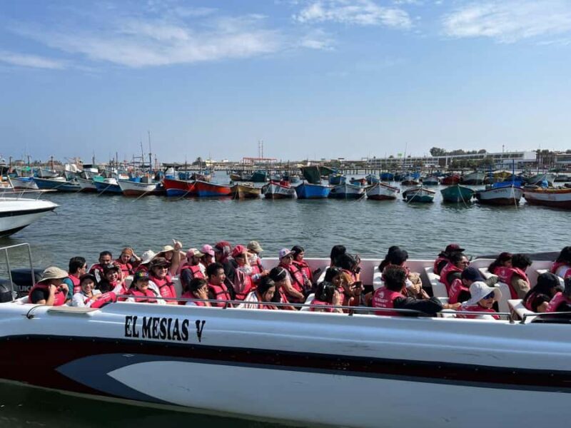 Tour from Lima to Palomino Islands - An Authentic Marine Adventure in Lima