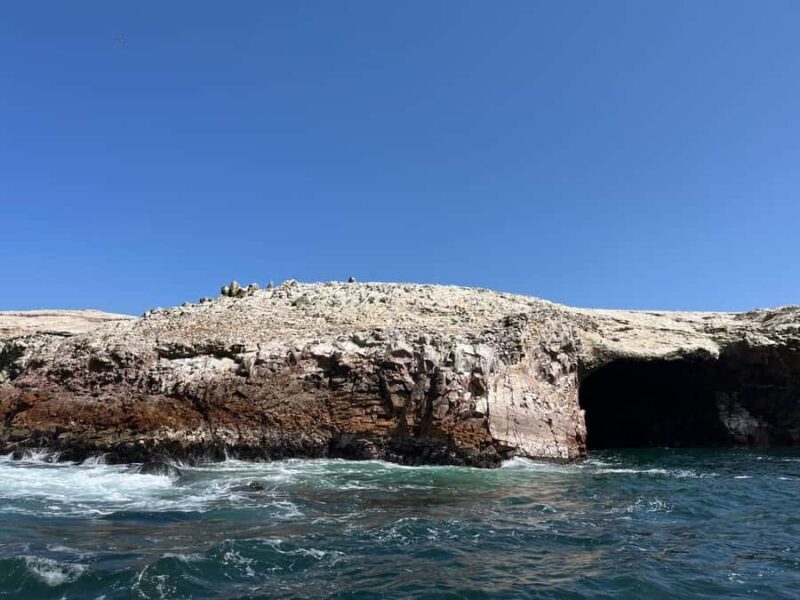 Tour from Lima to Palomino Islands - What to Expect in Detail