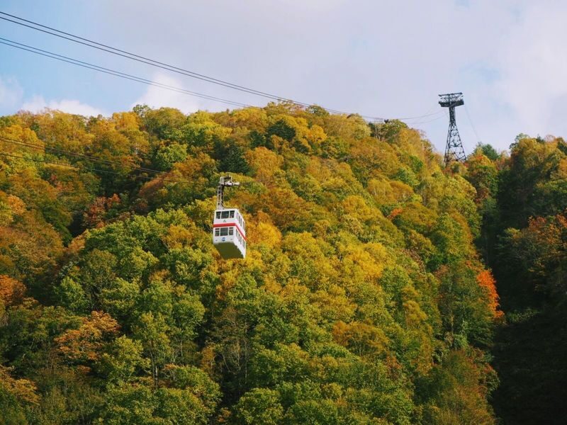 Tour from Takayama: Hida Folk Village, Caves & Shinhotaka Ropeway - Shinhotaka Ropeway: the day’s big mountain view