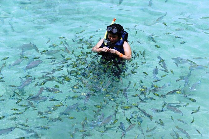 Tour Full Day Guided Huatulco Bays + Pickup + Refreshments + Gift !! - Exploring the Beauty of Huatulco’s Bays: A Full-Day Guided Boat Tour