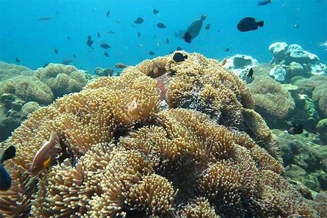 Tour Gate of Heaven at Lempuyang Temple - Blue Lagoon Snorkeling with lunch - Final Thoughts