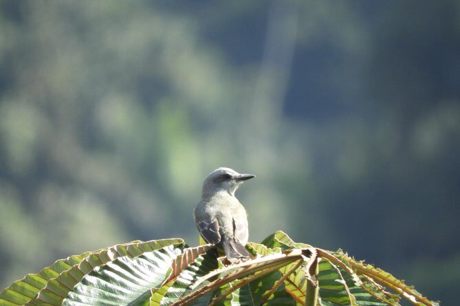 Tour Gotsezhy - Why This Tour Offers Great Value