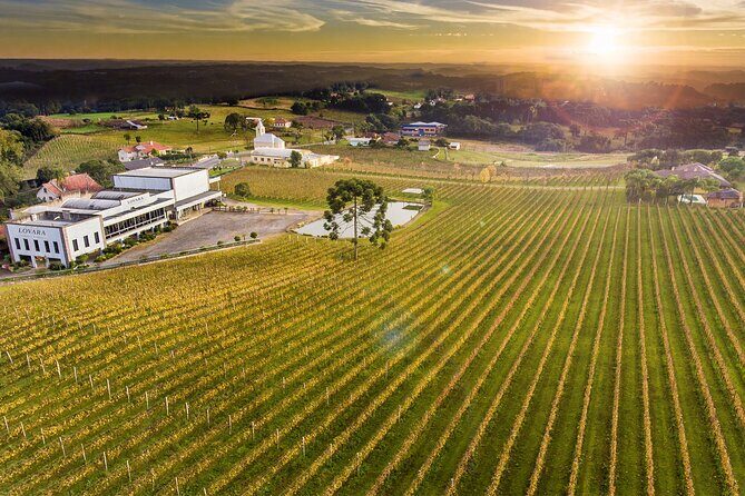 Tour Gran Reserva - Valley of the Vineyards - Key Points