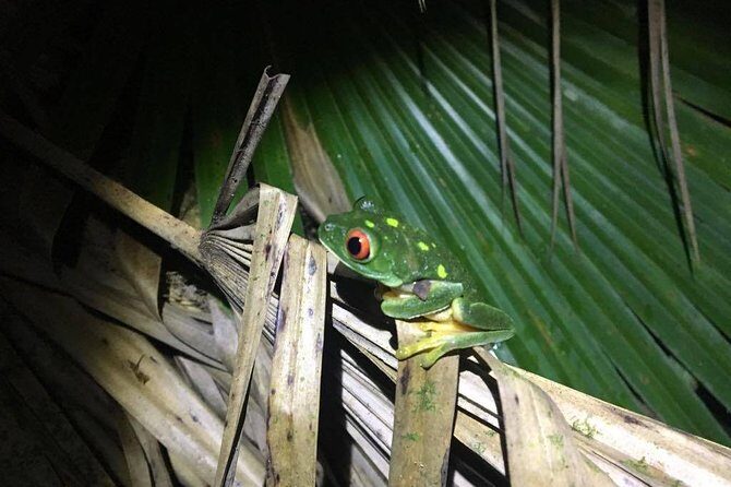 Tour Herpetologico - What Makes Tour Herpetologico Special?