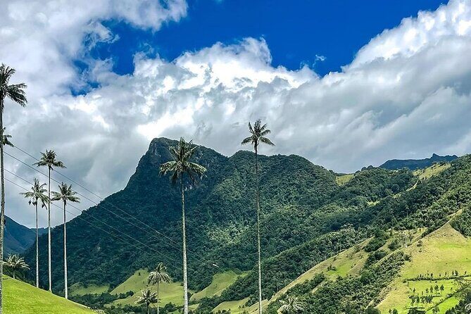 Tour hill Morrogacho Cocora Valley - Who Will Love This Tour?