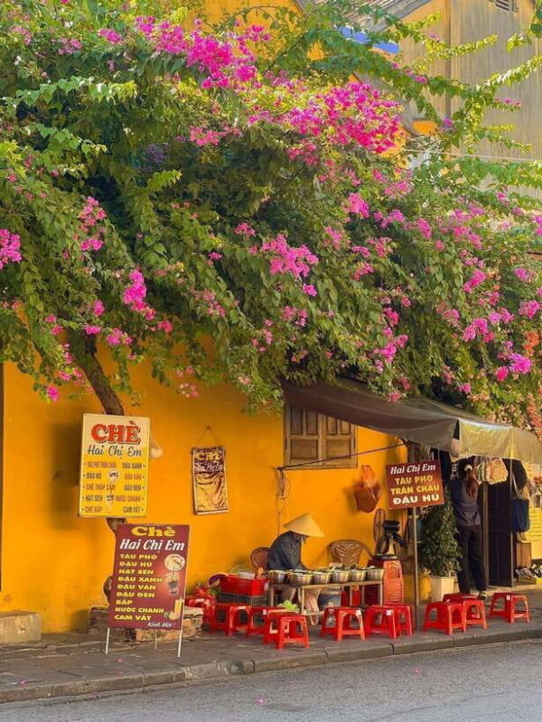 Tour Hoi An ancient town - Flower lanterns - Coconut forest - Who Is This Tour Best For?