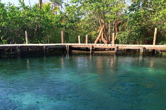 Tour Holbox - Two Island & Cenote from Cancun & Playa Del Carmen - Who Is This Tour Best For?