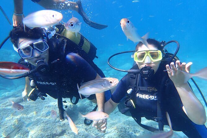 Tour in Alanya with Lunch and Guided Scuba Dives from Side - In-Depth Review of the Alanya Scuba Tour