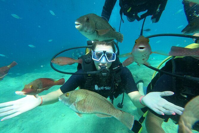 Tour in Alanya with Lunch and Guided Scuba Dives from Side - FAQs